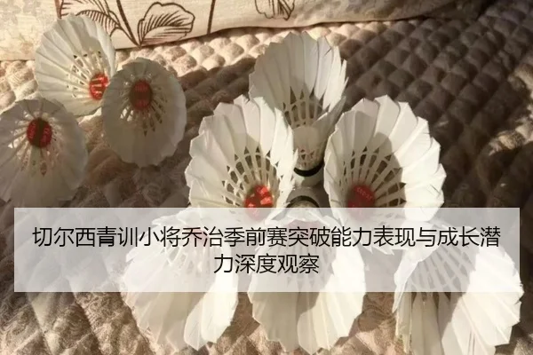 切尔西青训小将乔治季前赛突破能力表现与成长潜力深度观察